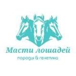 Масти лошадей | Породы лошадей