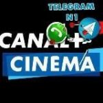 Cash out l’investissement rentable et fiable