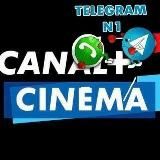 Cash out l’investissement rentable et fiable