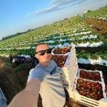 Клубничных дел мастер