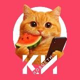 Краснодарские известия