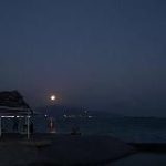 в Новороссе любят