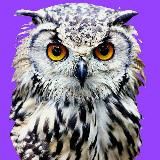 МУДРЫЕ МЫСЛИ / МОТИВАЦИЯ – ИЗБРАННОЕ