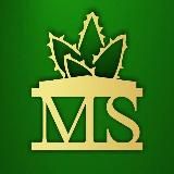 ministerstvo_sukkulentov