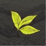 Tea Farm – Новости Чайной Фермы