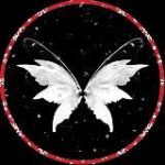 Your Light Life | ПП для тебя