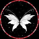 Your Light Life | ПП для тебя