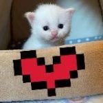 Нежная пикча