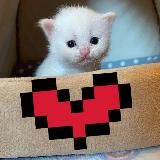 Нежная пикча