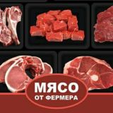 ВЕСЁЛЫЙ ФЕРМЕР