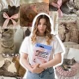 английский и котики