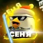 Кур Кур Сеня