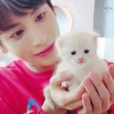 ‘ тэминем – theory house