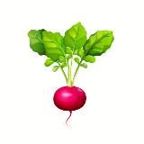 кто под землей редиску красит