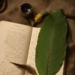 Вечная классика