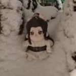 мартовской кошки угодья