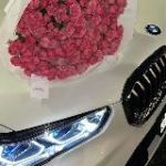 𝐊𝐚𝐯𝐤𝐚𝐳 𝐠𝐢𝐫𝐥 𝐯𝐛