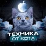 Продажа apple техники оптом