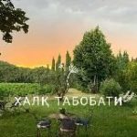 Халк табобати