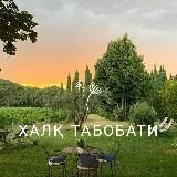 Халк табобати