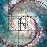 Золотое сечение