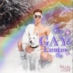 لینکدونی گی سنتر