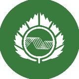 ИЗКОЛЬЦОВО | Инновации для жизни