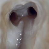 МыслиВслух