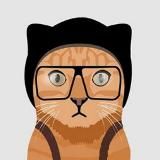 Смешные котики