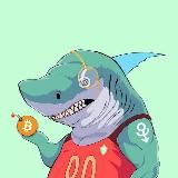 Shark galaxy CRYPTO