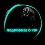 ПОДРОБНЕЕ О VIP | SUPER EXAM