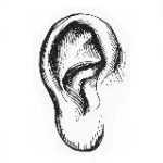 Блоха “У ХО”