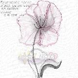 GACHA FRIENDSHIP || Гача знакомства ГАЧА ИЩУ ДРУЗЕЙ ПАРУ