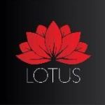 Lotus Agency – Работа за границей