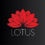 Lotus Agency – Работа за границей