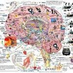 Жупара Букина Jupara_Bukina