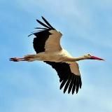 История Белой Руси