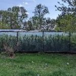 less is a bore  лес и забор