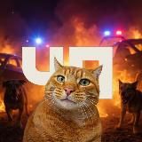 ЧП АРМАВИР | Михаил Соколов