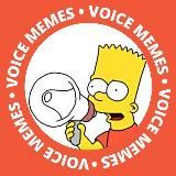 Мемные голосовые