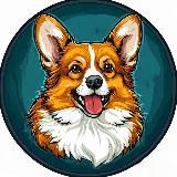 Собачий штурм