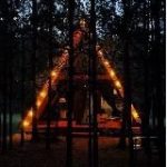 Эко-отель “FOREST”