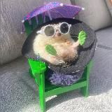 НПЩ 🃏 НеоПостЩитпост