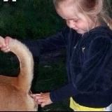 Алён, ну бл**ь….