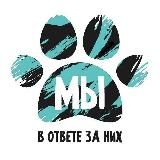 МЫ В ОТВЕТЕ ЗА НИХ!