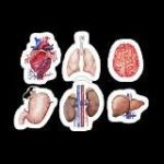 Sources & Résumés (2→3ème année) promo 2022 Oran