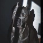 ПАЦАНСКИЕ ТРЕКИ 2025