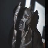 ПАЦАНСКИЕ ТРЕКИ 2025