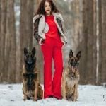 Юлия Абляхова | блог о дрессировке собак