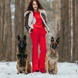 Юлия Абляхова | блог о дрессировке собак